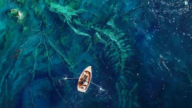 Видео порнуха #176125