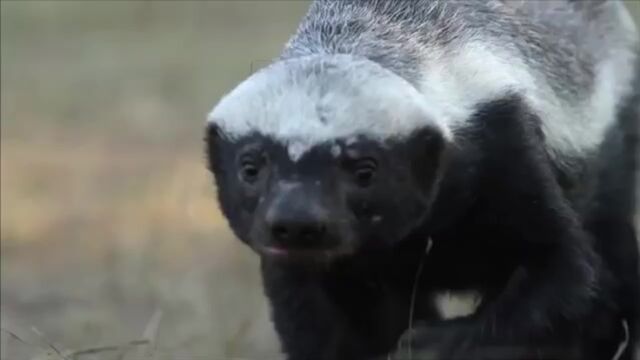 Видео порнуха #183535