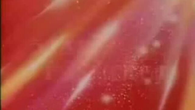 Видео порнуха #530