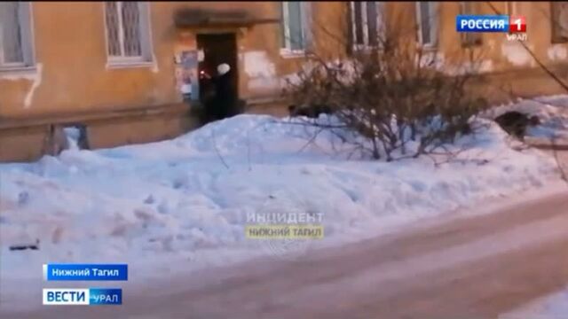 Видео порнуха #88441