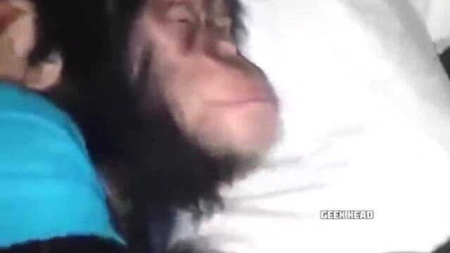 Видео порнуха #124539