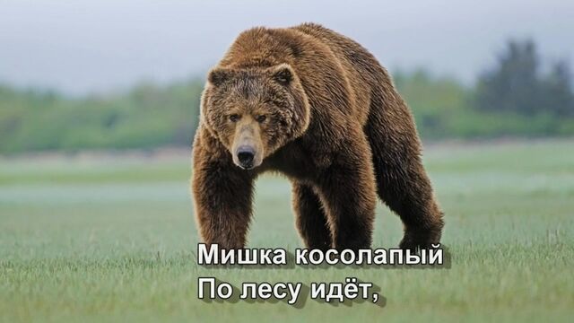 Видео порнуха #123138