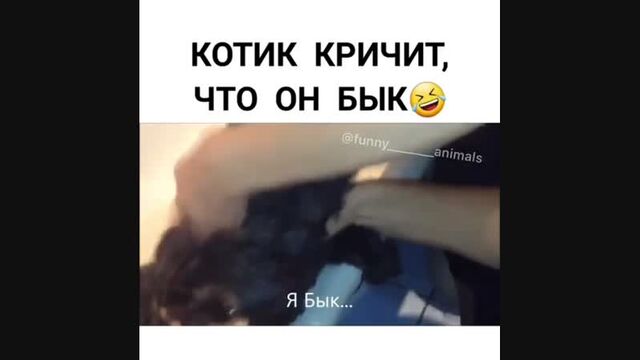 Видео порнуха #166239