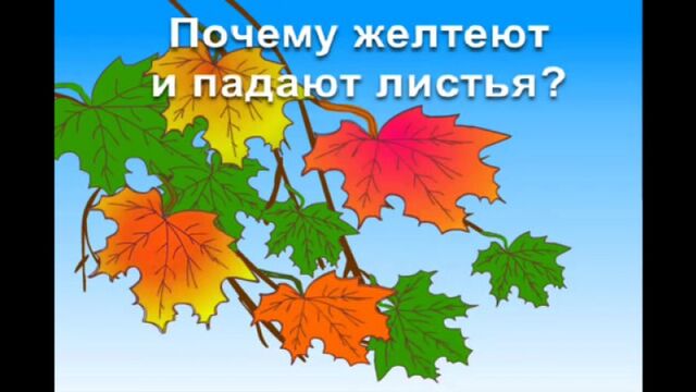 Видео порнуха #158169