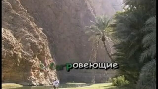 Видео порнуха #108244