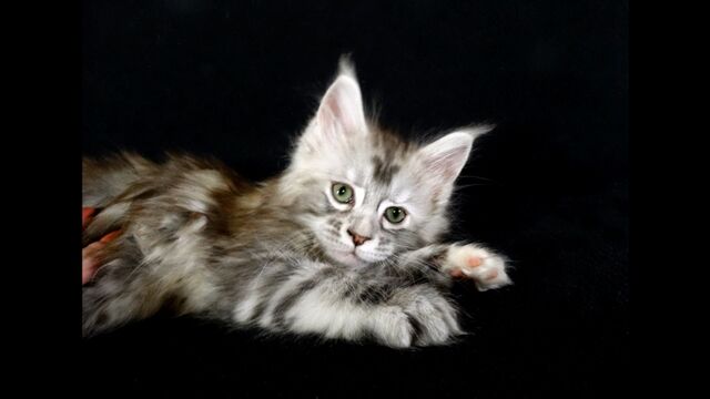 Видео порнуха #190377