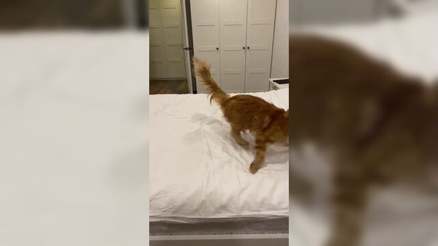 Видео порнуха #63325