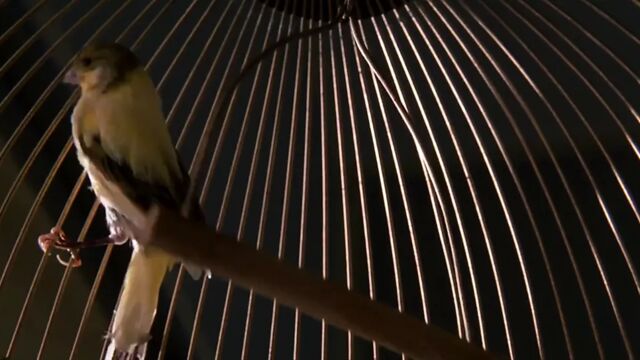 Видео порнуха #155056