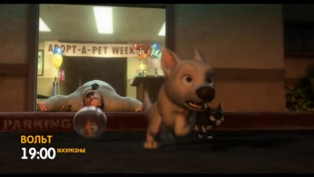 Видео порнуха #29812