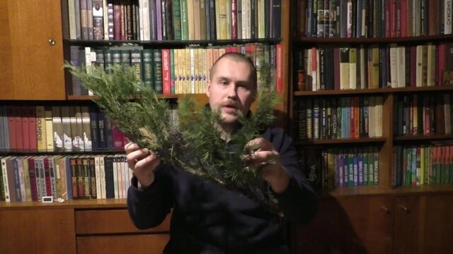 Видео порнуха #132576