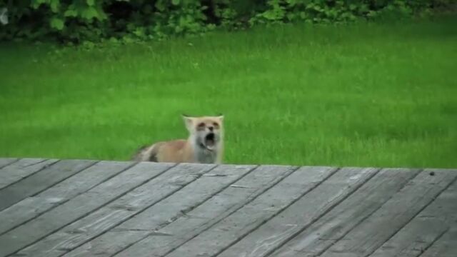 Видео порнуха #136434