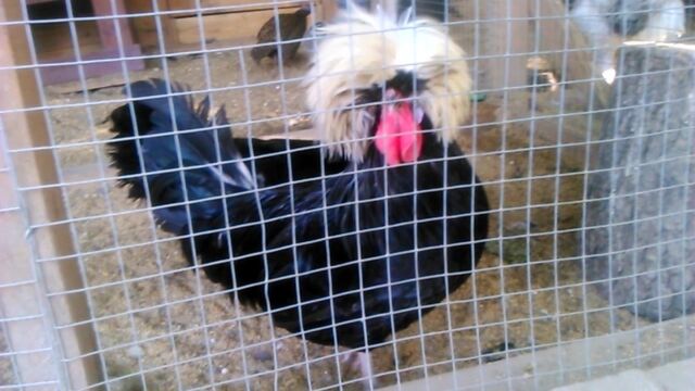 Видео порнуха #13115