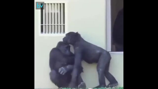 Видео порнуха #68124