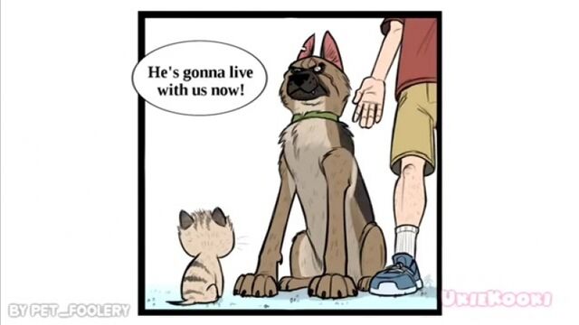 Видео порнуха #99962