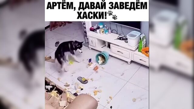 Видео порнуха #64166