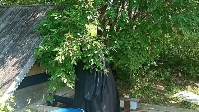 Видео порнуха #76873