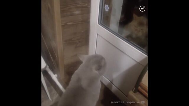 Видео порнуха #139202