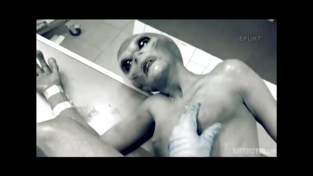 Видео порнуха #99471