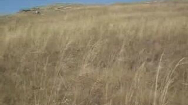 Видео порнуха #2655