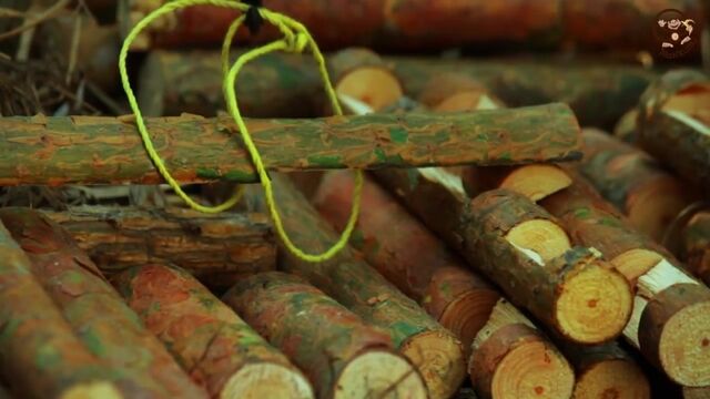 Видео порнуха #122447