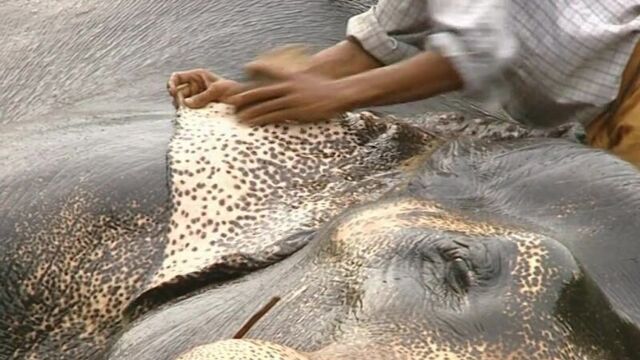 Видео порнуха #16723