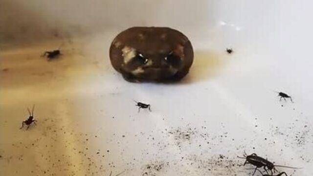 Видео порнуха #55931