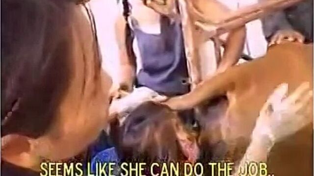 Видео порнуха #221530