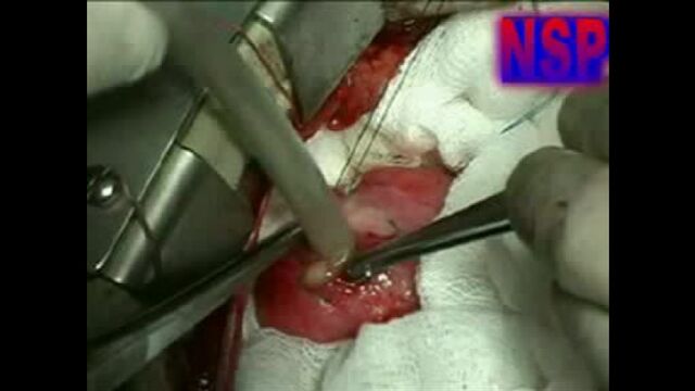 Видео порнуха #12840