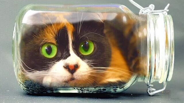 Видео порнуха #74879