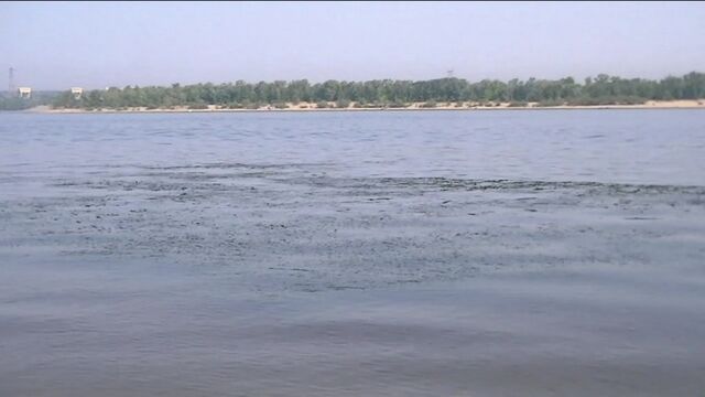 Видео порнуха #36595