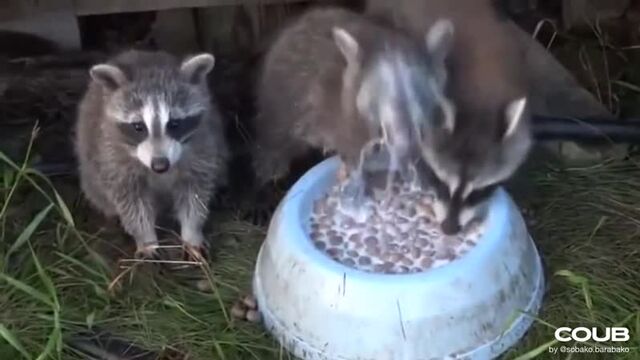 Видео порнуха #50029