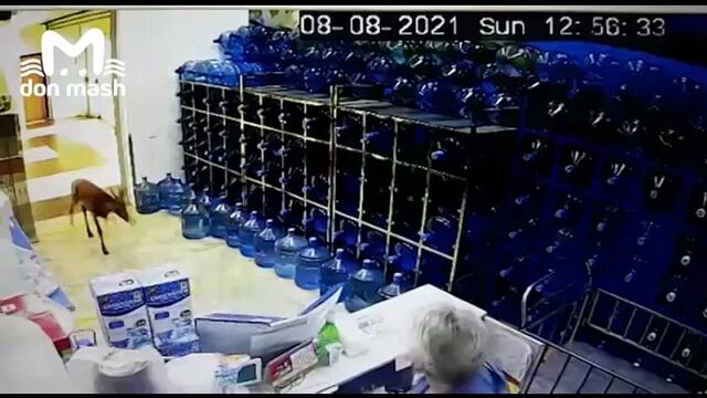 Видео порнуха #180306