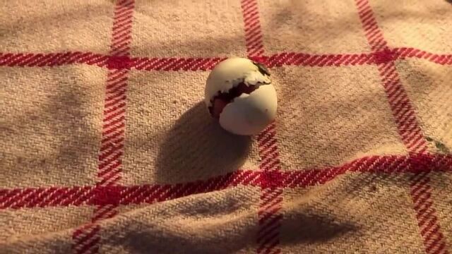 Видео порнуха #187345