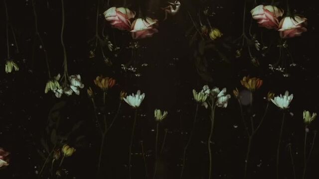 Видео порнуха #52414