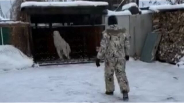 Видео порнуха #107937