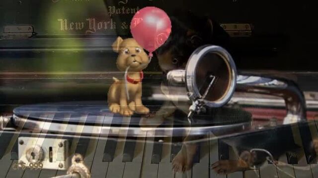 Видео порнуха #54192