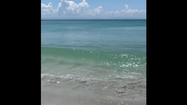 Видео порнуха #86043