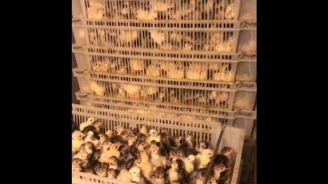 Видео порнуха #123280