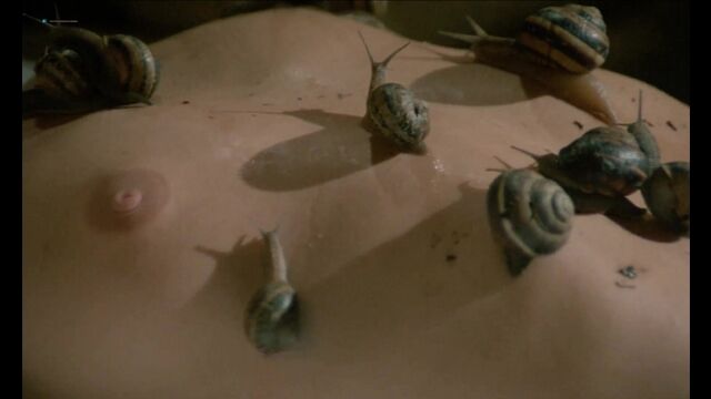 Видео порнуха #161390