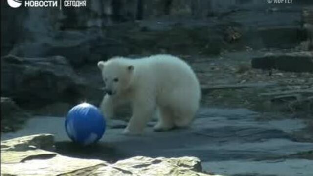 Видео порнуха #42248