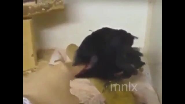 Видео порнуха #186333