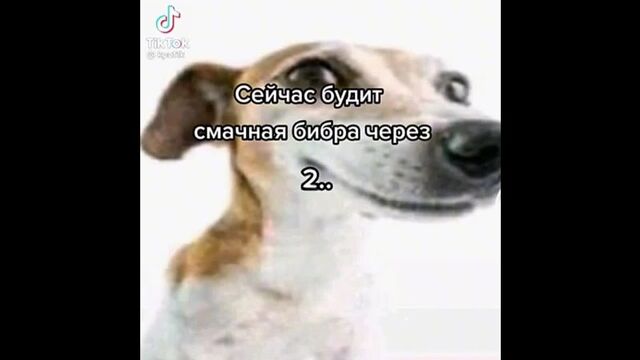 Видео порнуха #146985