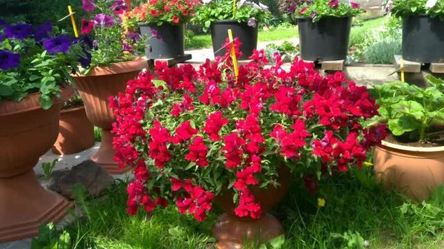 Видео порнуха #57580