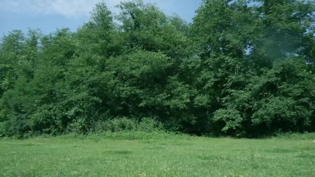 Видео порнуха #57717