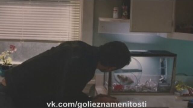 Видео порнуха #6826