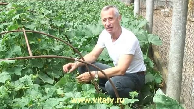 Видео порнуха #122942