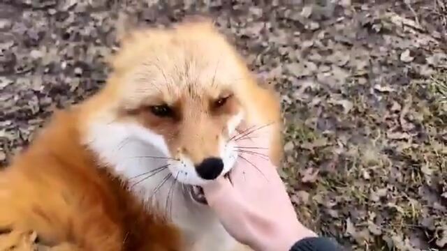 Видео порнуха #171983