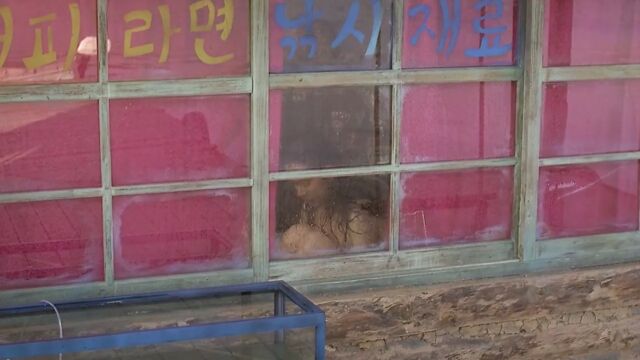 Видео порнуха #136319