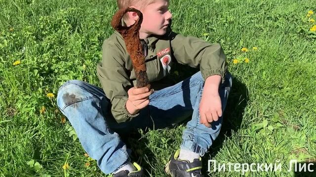 Видео порнуха #166811