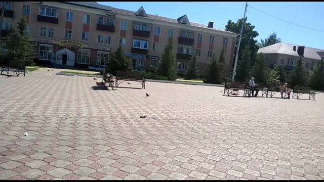 Видео порнуха #43866